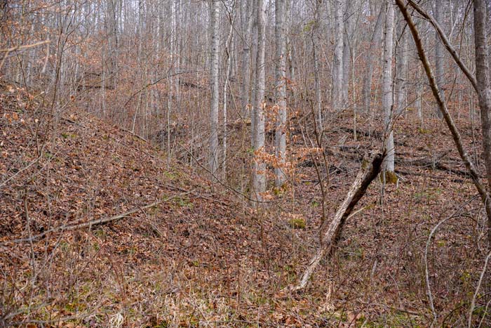 Ohio wildlife rich acreage