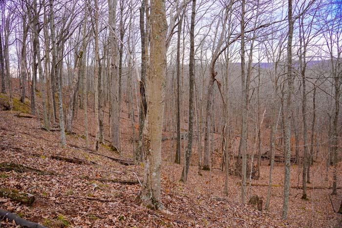 Ohio secluded hunting land