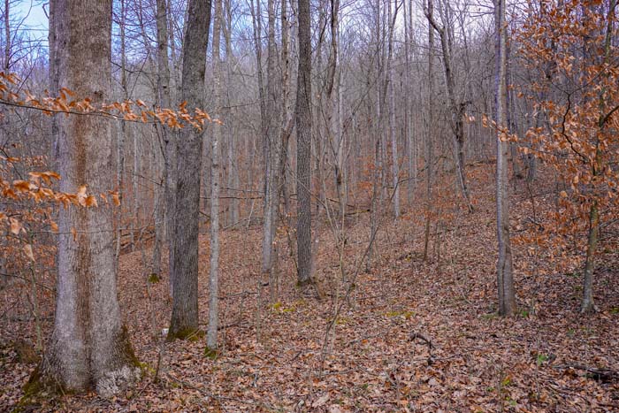 Lawrence County ridge access