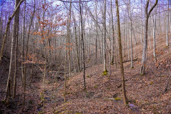 Lawrence County Ohio hunting land