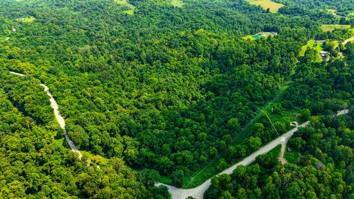 Timberland investment property