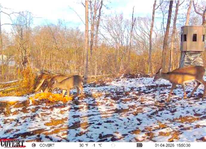 Trail access through woods on Wargo Road Noble County Ohio