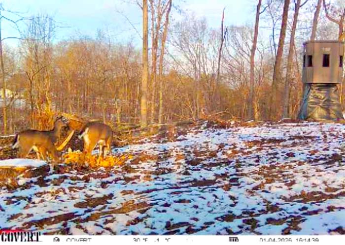 Flat ridge top area on Wargo Road Noble County Ohio land