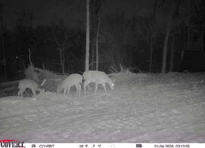 Private camping spot Wargo Road Noble County Ohio land