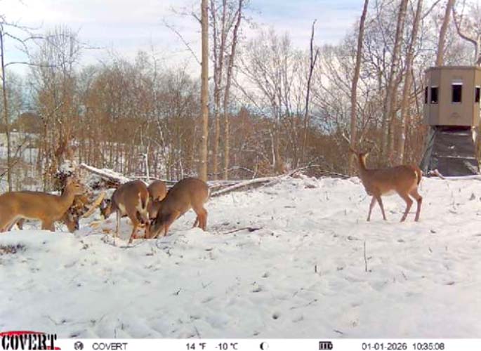 Future cabin site on ridge Wargo Road Noble County Ohio