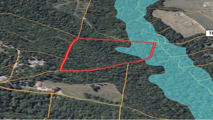 Wooded trail leading into Wayne Lane property