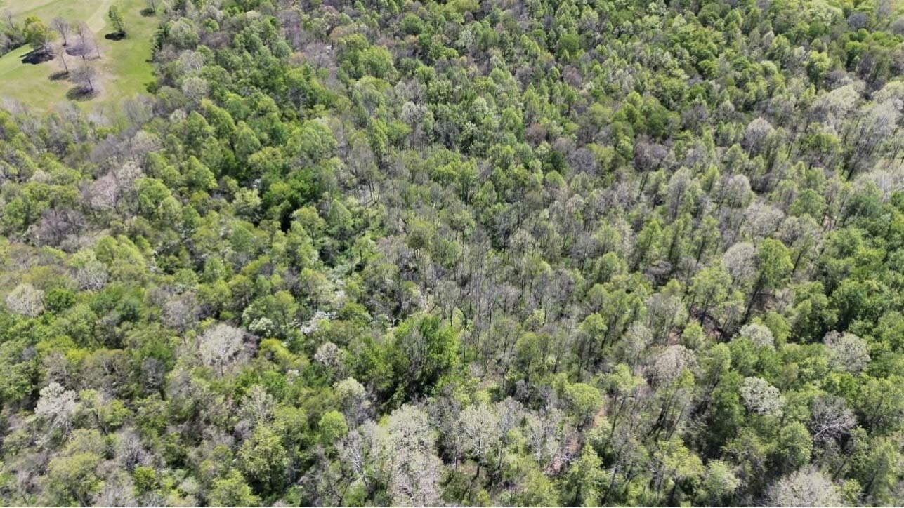 0 Wayne Lane – 17.45 acres wooded hunting land in Gallia County, Ohio