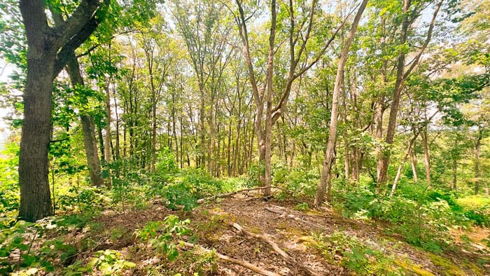 Ross County recreational property.