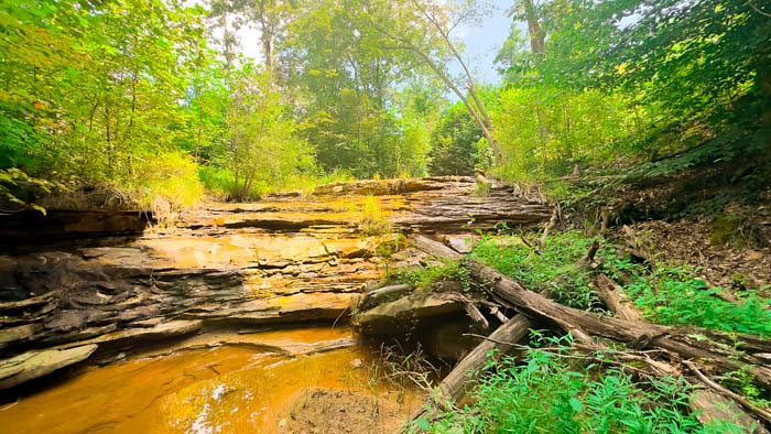 Wooded retreat with trail access.