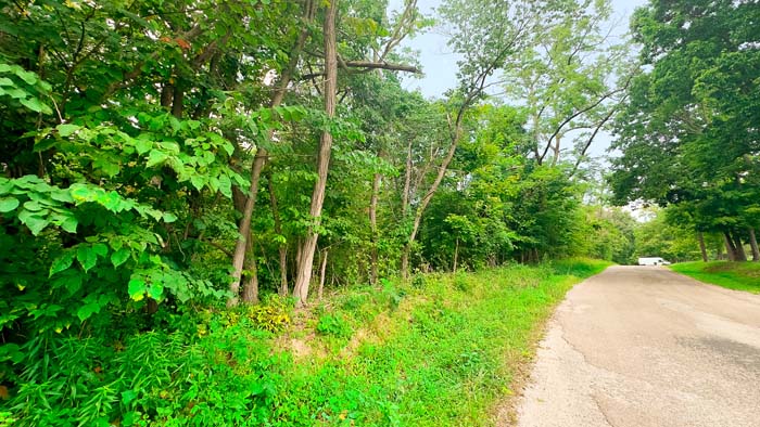 Water source near trail.