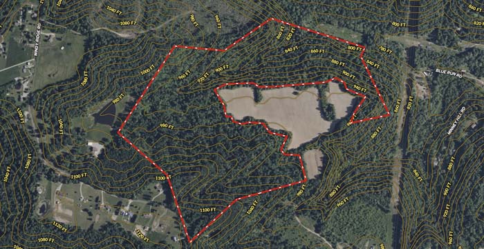 Mix of hardwoods and deer paths.