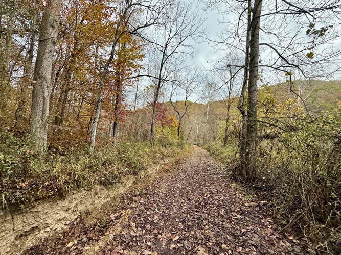 Gated easement access to property