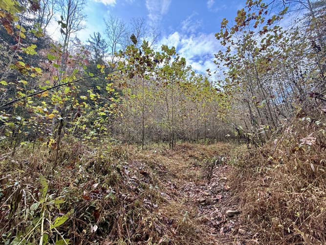 Old well and potential water source