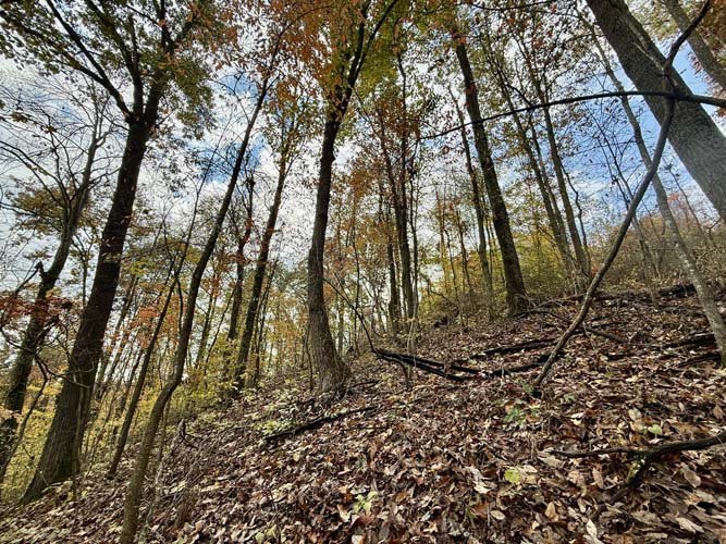 Private hunting area deep in the hills