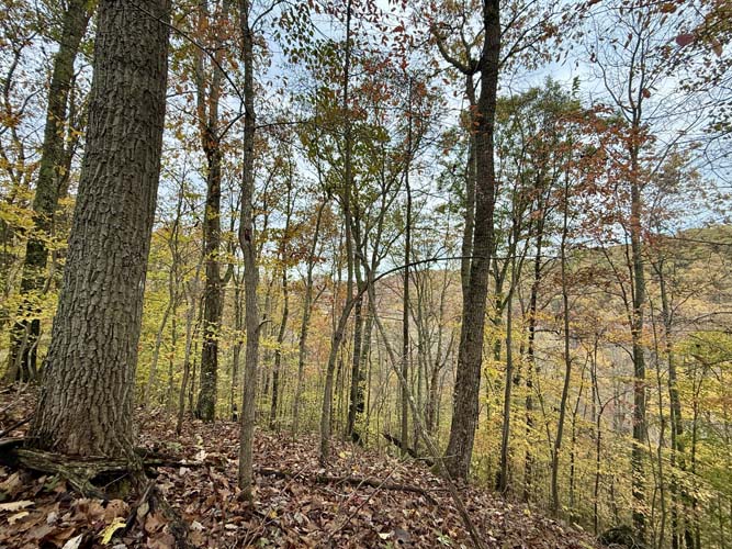 Scenic off-grid getaway in Jackson County area