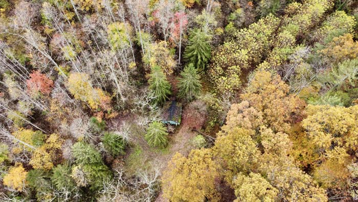 Cabin site surrounded by mature timber