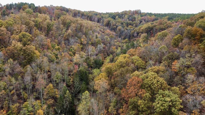 Driveway access off quiet country road