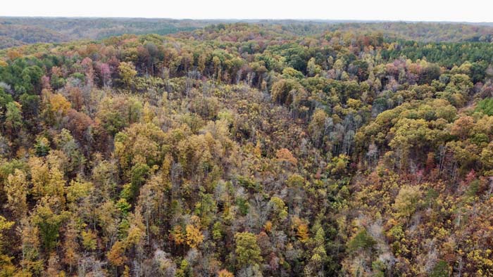 Trail system throughout hunting property