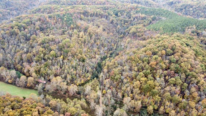 Hunting retreat with water and timber features