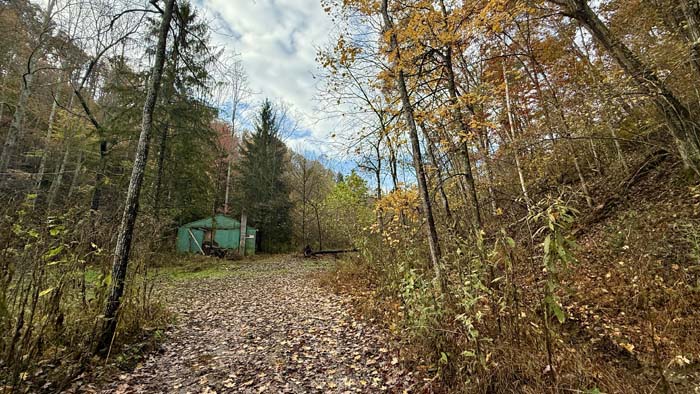 Hunting trails winding through hardwood forest