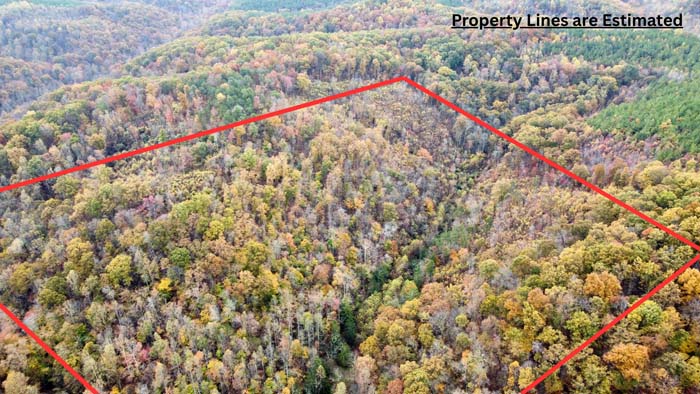 Cabin in need of renovation with potential