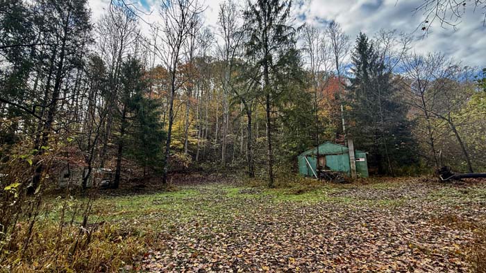 Creek bed running through wooded valley