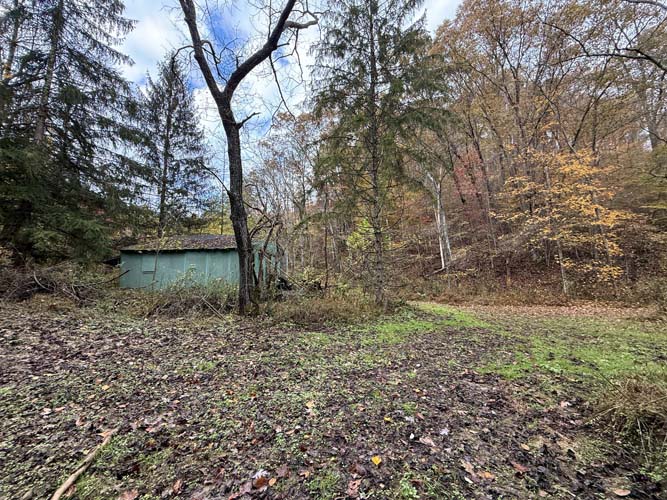 Secluded clearing suitable for food plot or base camp