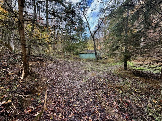 Deer trail along wooded ridge line