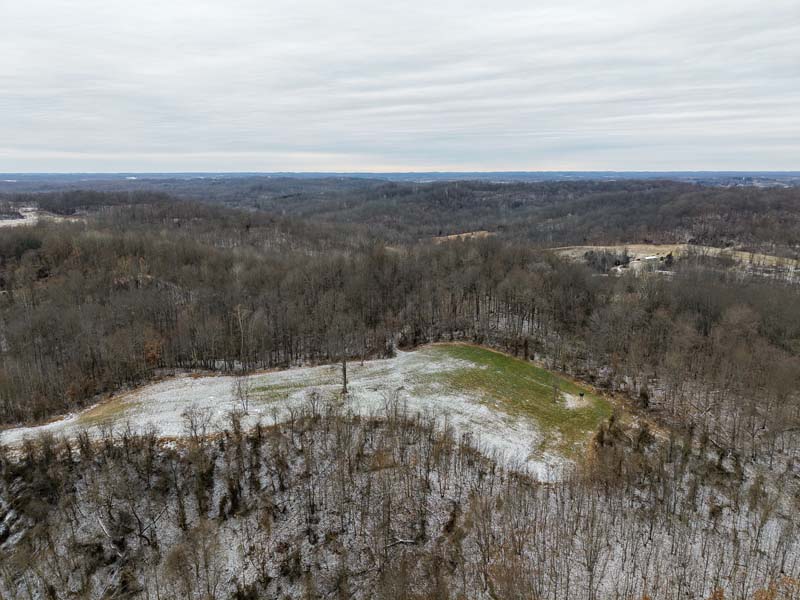 Regenerated clear cut Ohio deer bedding