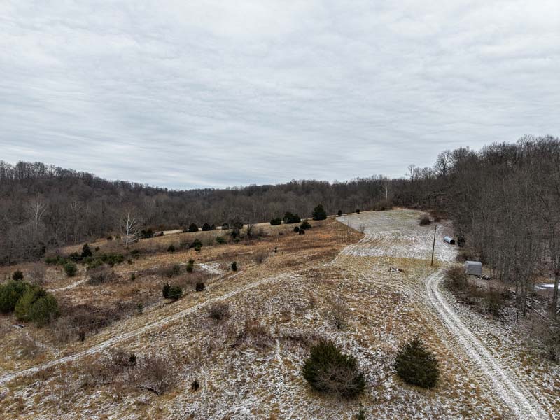 Trail camera activity Ohio whitetail land
