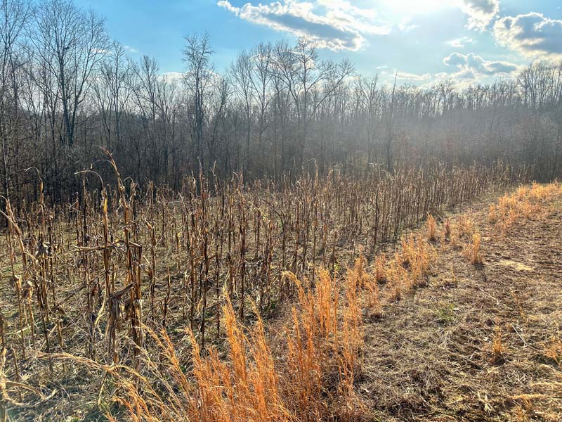 Ohio deer management property