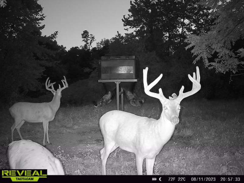 Creek running through Ohio hunting property