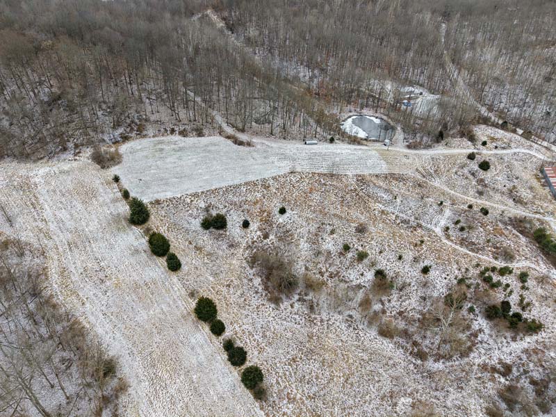 Whitetail habitat Meigs County Ohio