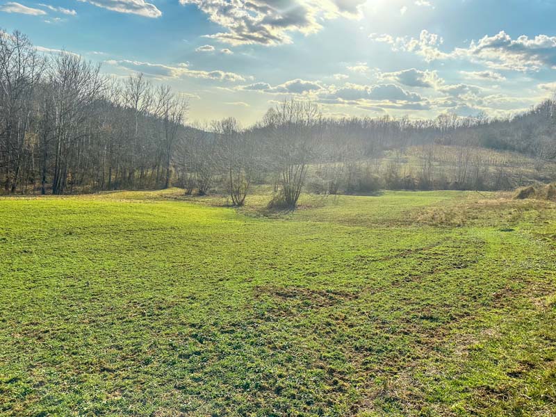 ATV trail system Ohio hunting land