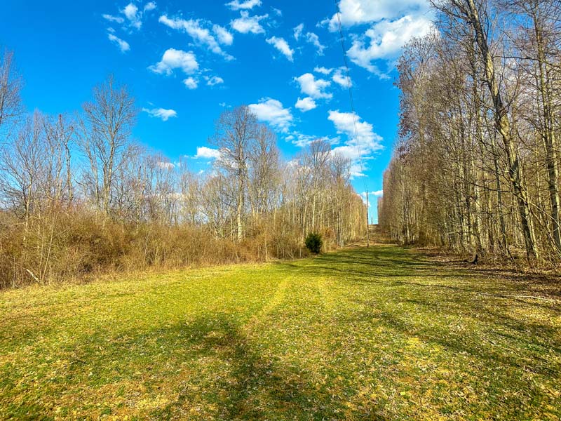 Interior trail network Ohio hunting property