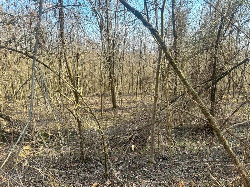 Rolling terrain Ohio hunting land
