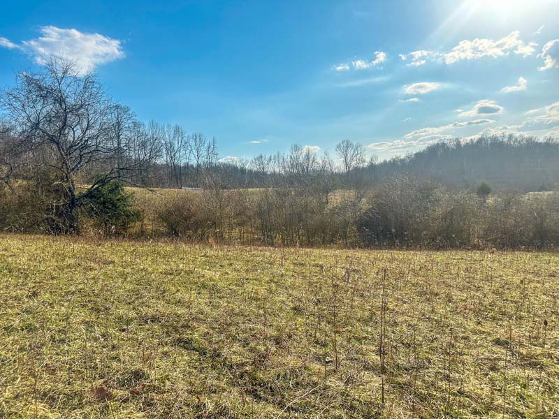 Thermal bedding slopes Ohio deer