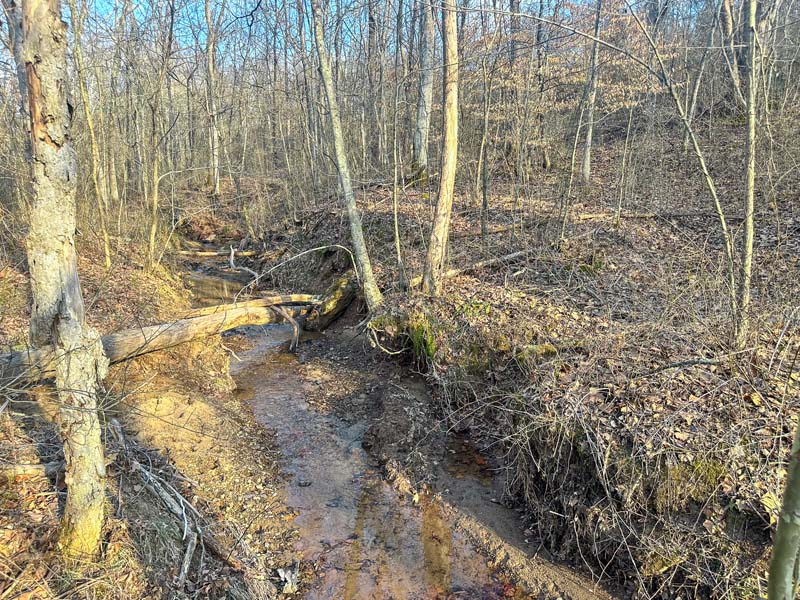 Treestand location Ohio hunting land