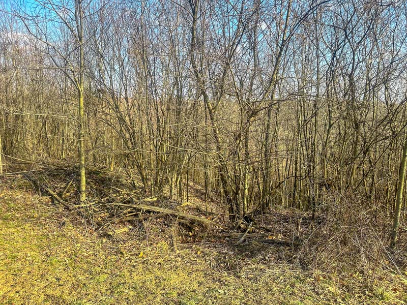 Hunting stand setup Meigs County Ohio