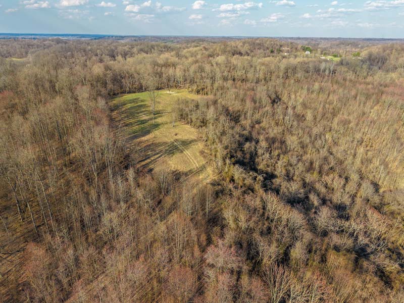Heavy deer sign Southeast Ohio woods