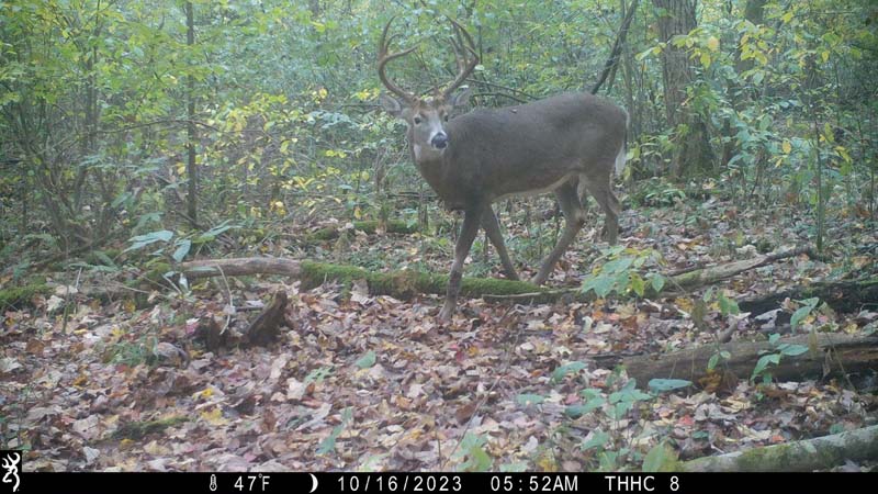 Natural funnel area Ohio hunting