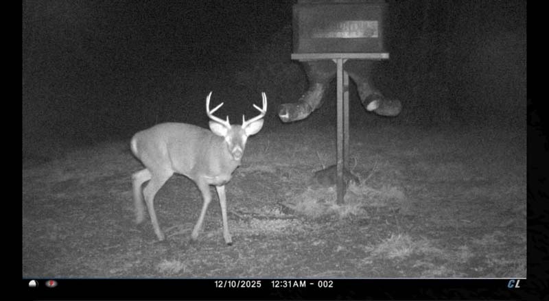 Mature buck sign Athens County Ohio