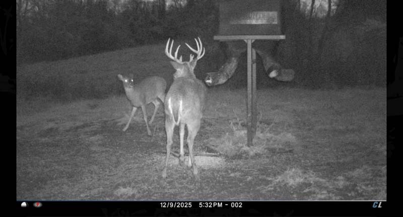 Timber diversity Ohio hunting property