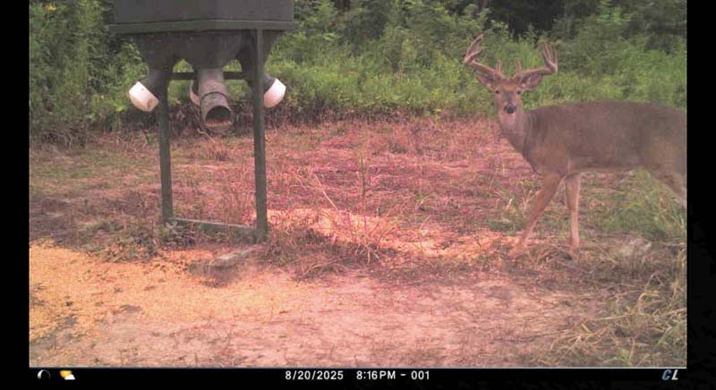 Habitat improvement Meigs County Ohio
