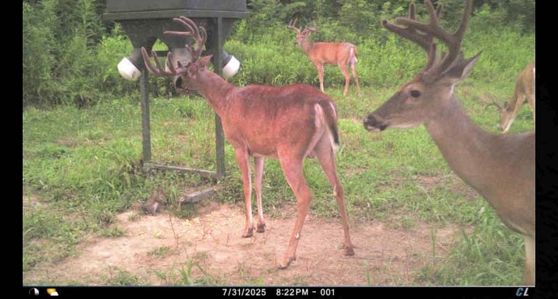 Low pressure deer land Southeast Ohio