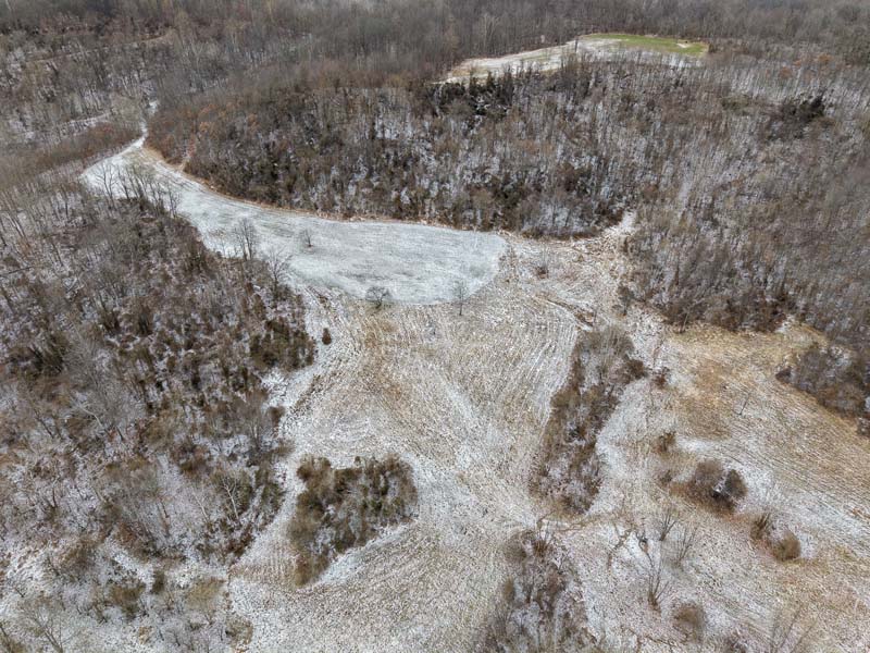 Managed whitetail land Ohio