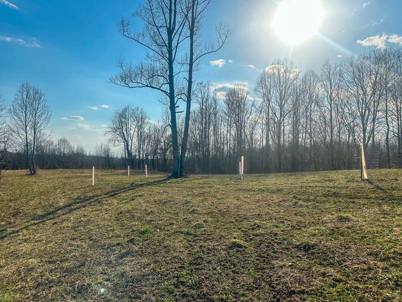 Proven big buck history Ohio