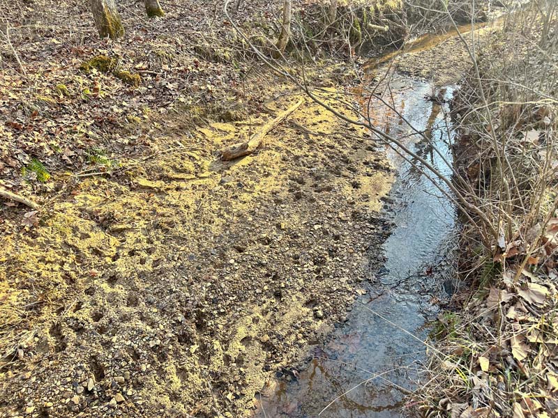 Edge habitat deer movement Ohio
