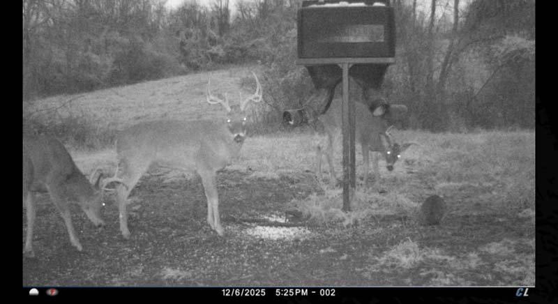 Wildlife travel routes Southeast Ohio