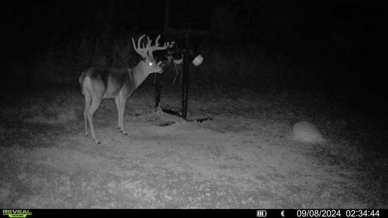 Ohio hunting land food plots
